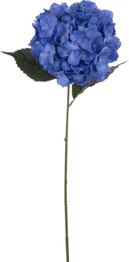 J-Line bloem Hortensia Sproeier - kunststof - blauw