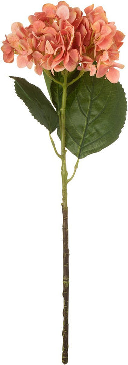 J-Line bloem Hydrangea - textiel - koraal - 12 stuks