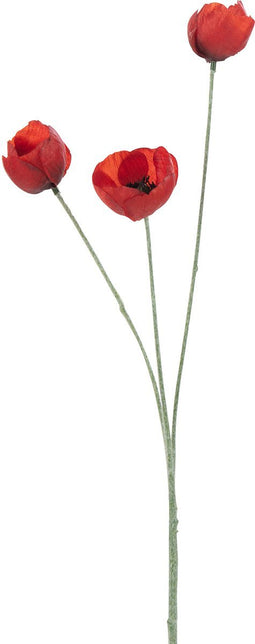 J-Line bloem Klaproos Sproeier - kunststof - rood