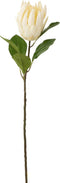 J-Line bloem Protea Tak - kunststof - ecru - 6 stuks
