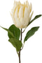 J-Line bloem Protea Tak - kunststof - ecru - 6 stuks