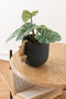 J-Line bloempot Aap - cement - zwart/goud - Ø 11 cm - 2 stuks