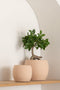 J-Line bloempot Enya - keramiek - beige - small - Ø 16.00 cm