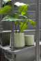 J-Line bloempot Rond - keramiek - groen - small - Ø 17.00 cm - 2 stuks