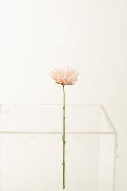 J-Line Chrysant Mini Plastiek Licht Roze - 24 stuks