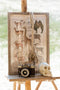 J-Line decoratie Schedel - polyresin - beige - small