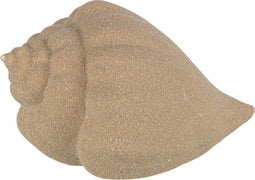 J-Line decoratie Schelp Zand Glazuur - porselein - beige - 2 stuks