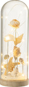 J-Line decoratie Stolp Hoog Schelpen + Zand - glas/hout - wit/naturel - large - LED lichtjes