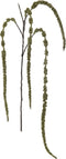J-Line decoratie Tak Amaranthus - kunststof - donkergroen - 12 stuks