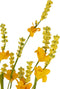 J-Line decoratie tak Forsythia - kunststof - geel