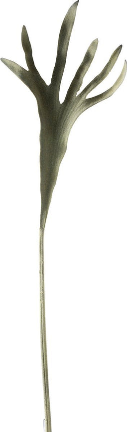 J-Line decoratie tak Hoorns - kunststof - mat groen - 12 stuks