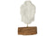 J-Line decoratie zeilboot Noa Alabasia - hout - bruin - small