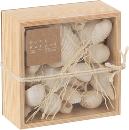 J-Line doos vierkant Schelpen - wit