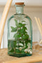 J-Line Drankdispenser Fles Glas Transparant Small