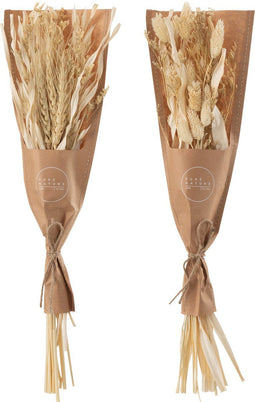 J-Line droogbloemen - Bundel gedroogde Avana gras - naturel - 2 stuks