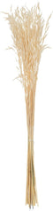 J-Line droogbloemen - bundel gedroogde Haver - riet - ecru