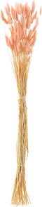 J-Line droogbloemen - Bundel Hazenstaart - gedroogd pluim - lichtroze