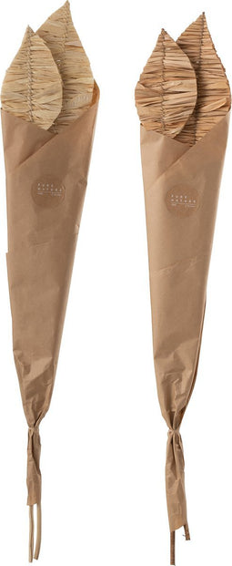 J-Line Droogbloemen - Mais Bladeren 2 Stukken - naturel - 2 stuks
