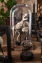J-Line figuur Dinosaurus T-Rex Op Voet - polyresin - lichtbruin