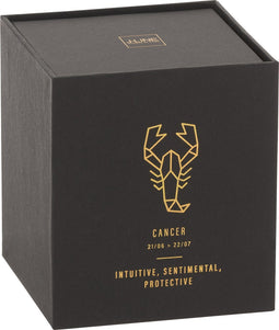 J-Line geurkaars Astro Kreeft – Rainbow Reef – zwart - 50U