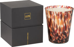 J-Line geurkaars Noa - Magnificient Birch - glas - rood - large - 95U