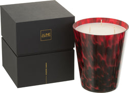 J-Line geurkaars Noa - Sandalwood - glas - rood - large - 95U