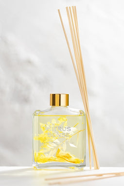 J-Line geurolie + stokjes - Citrus Sense - geel - glas