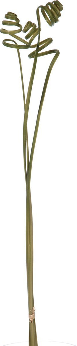 J-Line gras Krul - kunststof - 3 Delig 100Cm - 12 stuks