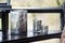 J-Line kaarshouder - theelichthouder Takken - glas - grijs - small - 3 stuks