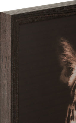 J-Line kader Leeuw/Panter - glas - bruin/zwart - 2 stuks