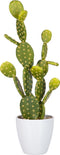 J-Line kunstplant Vijgcactus - kunststof - groen - large