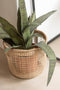 J-Line mand Oasis - zeegras - naturel - 5 stuks