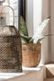 J-Line mand Oasis - zeegras - naturel - 5 stuks