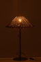 J-Line Pampas Gras 7 Koppen In Pot Pvc Groen/Beige Small