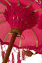 J-Line parasol Dayu - katoen/hout - roze - small