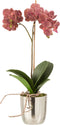 J-Line plant Orchidee In Pot - kunststof/cement - donkerroze/zilver