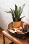 J-Line plant Sanseveria + Pot - kunststof - groen/terracotta - medium - 2 stuks