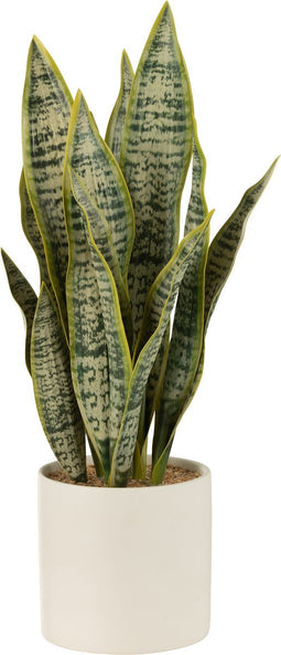 J-Line plant Sansevieria in pot - kunststof - groen - large