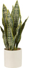 J-Line plant Sansevieria in pot - kunststof - groen - large