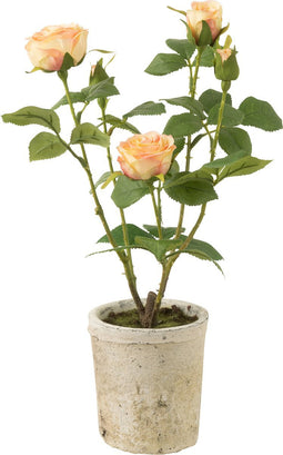 J-Line roos 5 Koppen In Pot - kunststof/textiel - geel/groen