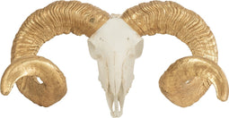 J-Line Schedel Schaap Resine Wit/Goud Large