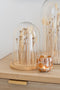 J-Line stolp Droogbloemen - glas/hout - ecru/bruin - large