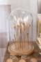 J-Line stolp Droogbloemen - glas/hout - ecru/bruin - large