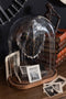 J-Line stolp Ovaal - hout/glas - transparant/donkerbruin - small