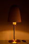 J-Line tafellamp - metaal - beige/goud