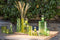 J-Line theelichthouder Bladeren - glas - groen - large - 2 stuks