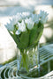 J-Line Tulpen In Vaas Ovaal - kunststof - glas - wit