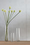 J-Line Vaas Bladeren Glas Transparant Small - Bloemenvaas 14.50 cm hoog
