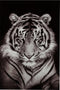 J-Line wanddecoratie tijger getemperd - glas - zwart/wit