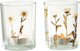 J-Line windlicht Bloem Madeliefje - glas - mix - 2 stuks